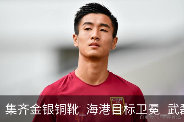 集齐金银铜靴 海港目标卫冕 武磊的伤是个麻烦